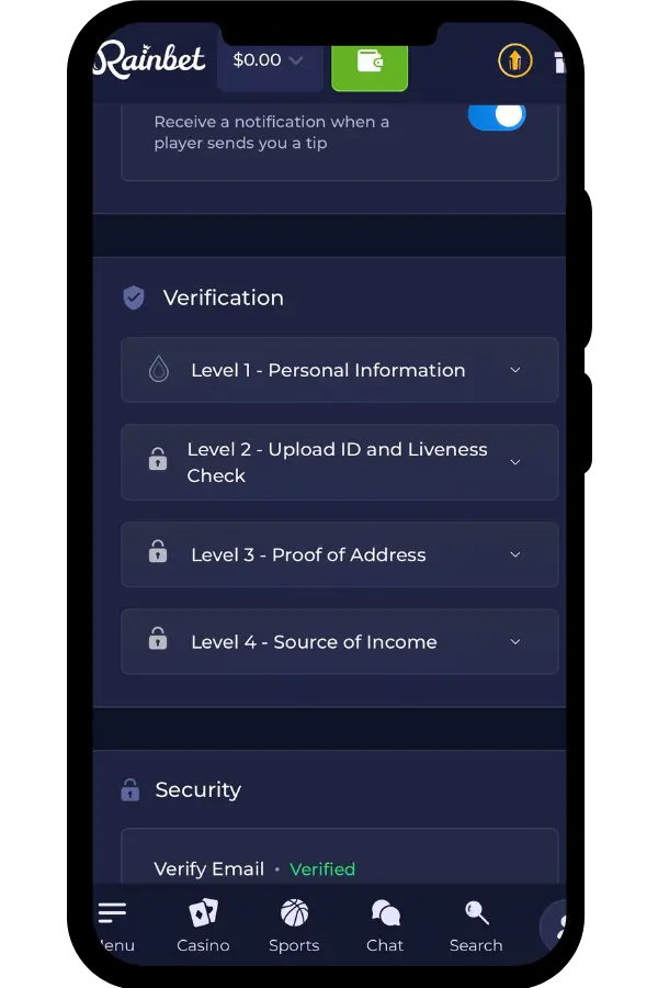 Rainbet app verification screen with levels 1-4 and verified email