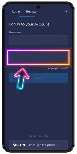 Type your password